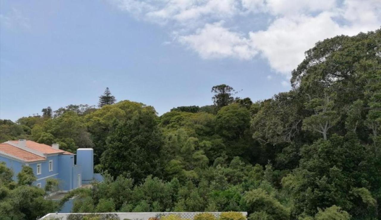 Arquinha Διαμέρισμα Πόντα Ντελγκάντα Εξωτερικό φωτογραφία